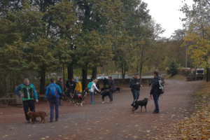 Sennenhundewanderung