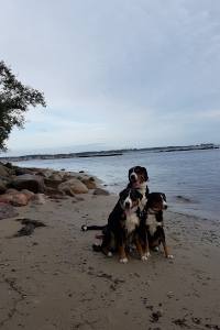 Kiel