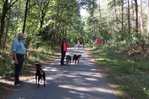 Appenzeller Rassetag 2019