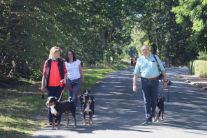 Appenzeller Rassetag 2019