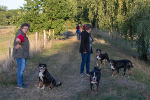Appenzeller Rassetag 2019