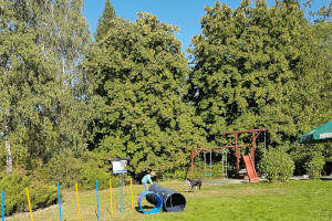 Appenzeller Rassetag 2019