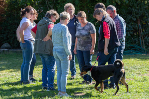 Appenzeller Rassetag 2019