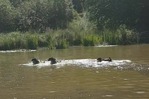 Badezeit
