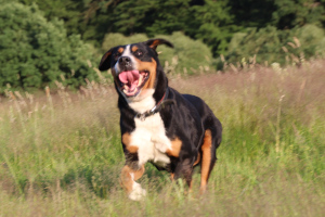Cara 9 Jahre alt
