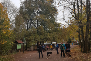 Sennenhundewanderung