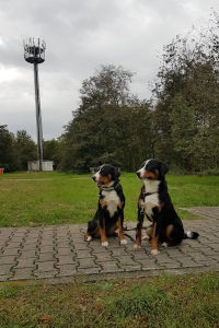Fahrt nach Kappel