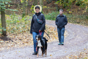 Sennenhundewanderung