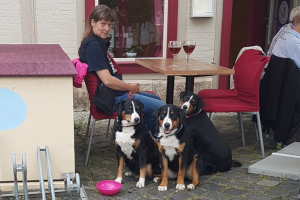 Restaurantbesuch in Halberstadt
