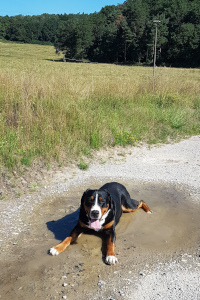 Arvo badet ;-)