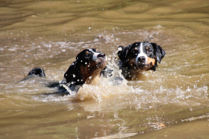 Ellie als Schwimmlehrer