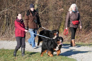 Landesgruppenwanderung