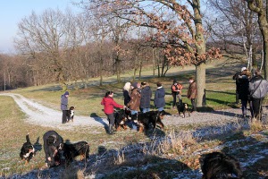 Landesgruppenwanderung