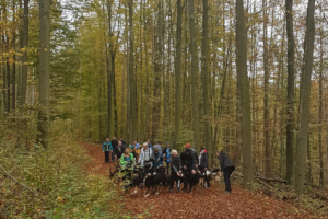 Sennenhundewanderung