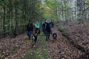 Sennenhundewanderung