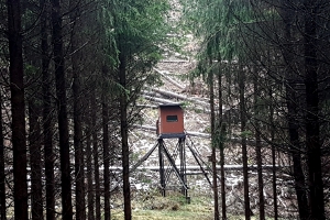 Orkantief Friederike in Tiefenort