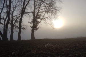 Tiefenort lag im Nebel versteckt