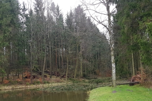Orkantief Friederike in Tiefenort