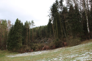 Orkantief Friederike in Tiefenort