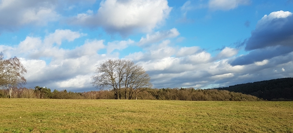 Orkantief Friederike in Tiefenort