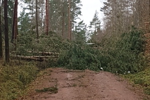 Orkantief Friederike in Tiefenort