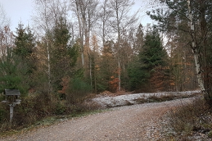 der Winter beginnt...