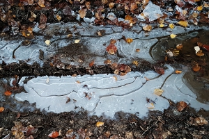 der Winter beginnt...