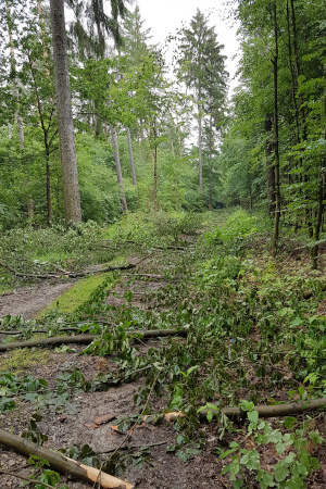 Unwetter Tiefenort 13.06.2019