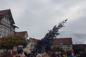 Kirmestanne 2019