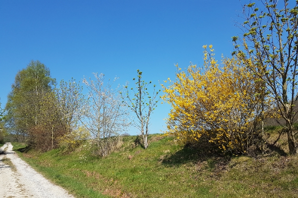 Osterwetter 2019