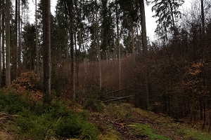 Folgen von Sturmtief Eberhard